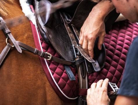 close-up van leonard die zijn paard opzadelt