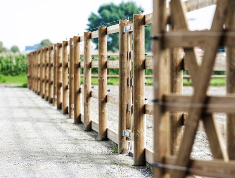 paddocks