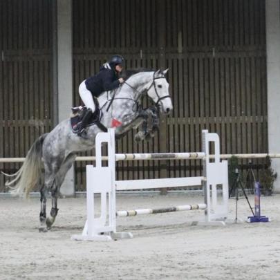Qupido springt over 1.40m