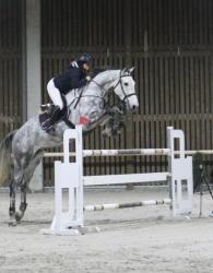 Qupido springt over 1.40m