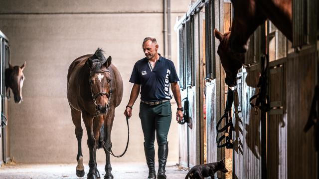 paard en ruiter in de gang